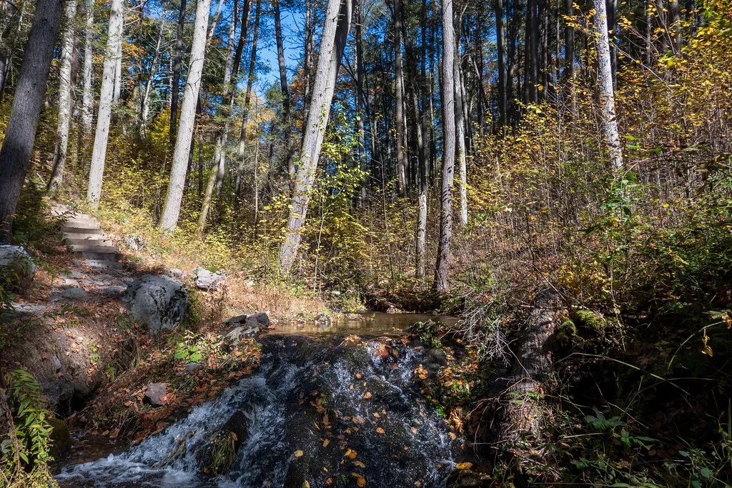 Stokes Campground