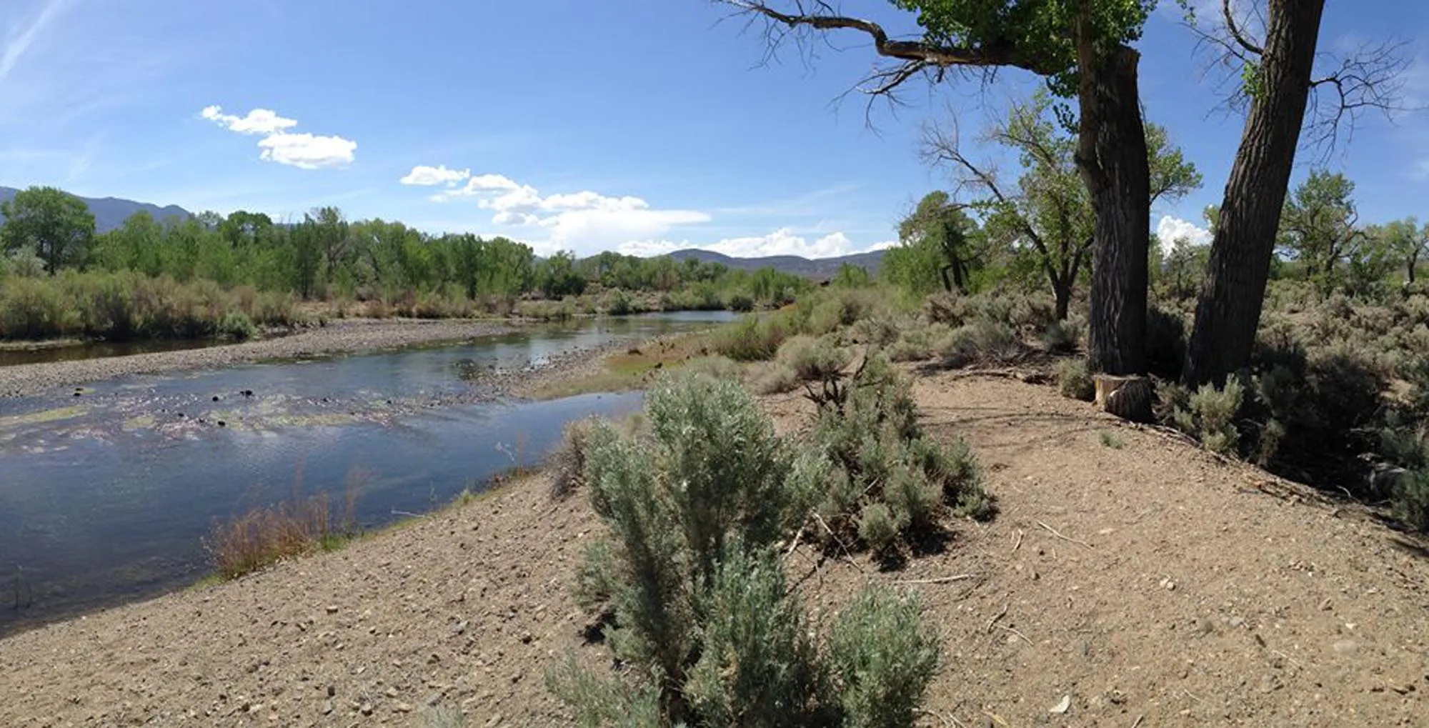 Dayton Campground