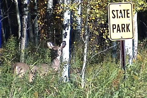 Moose Lake Campground