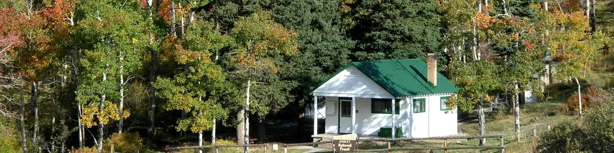 Uinta River Group Campground