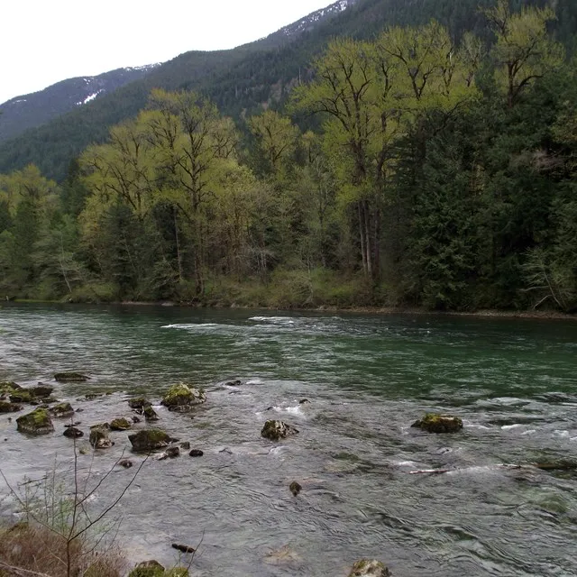 Newhalem Creek Campground