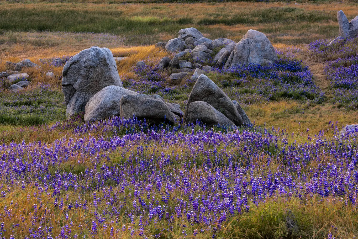 Peninsula Campground