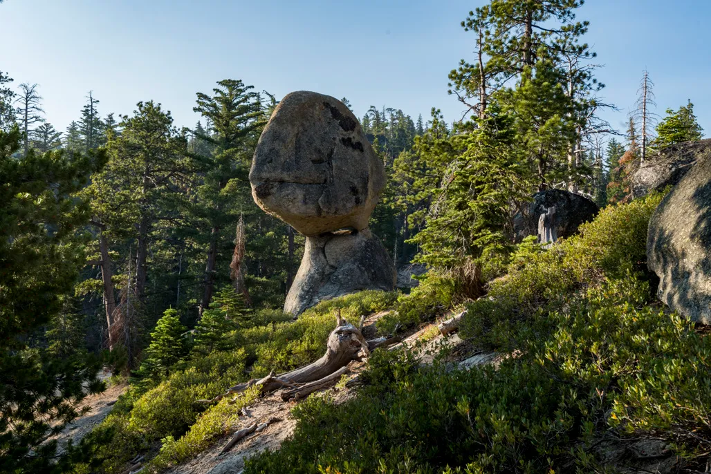 Pine Campground