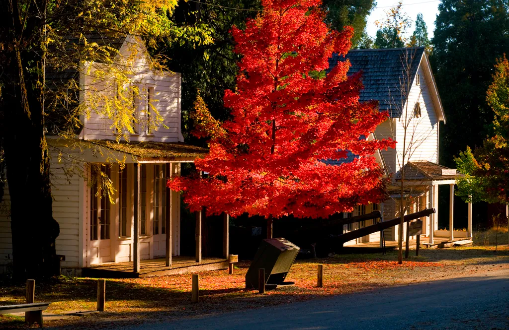 Malakoff Diggins State Historic Park Campground