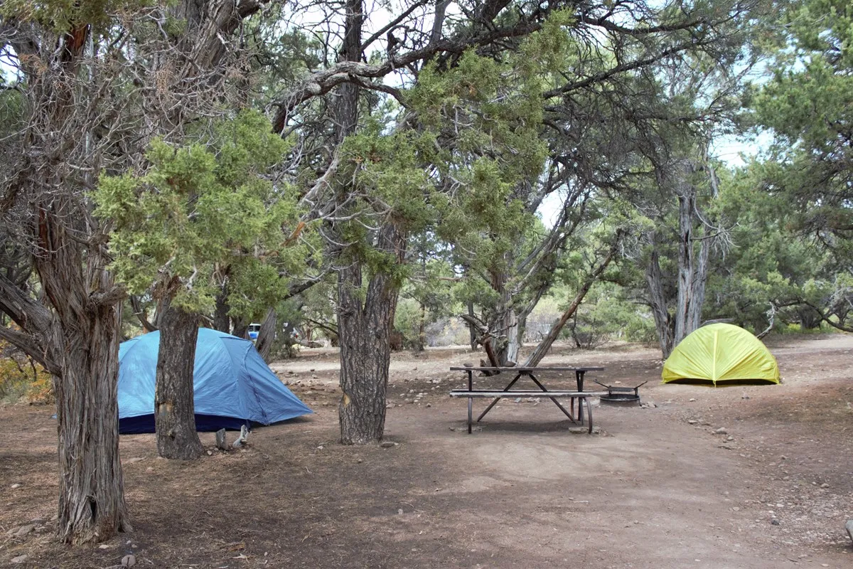 Black Canyon Of The Gunnison North Rim Campground