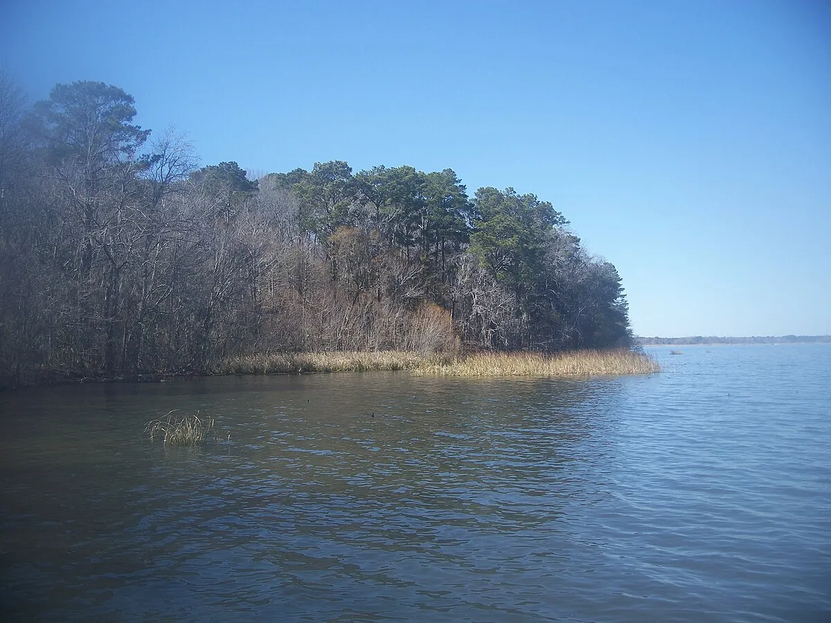 Hillsborough River State Park Campground 2
