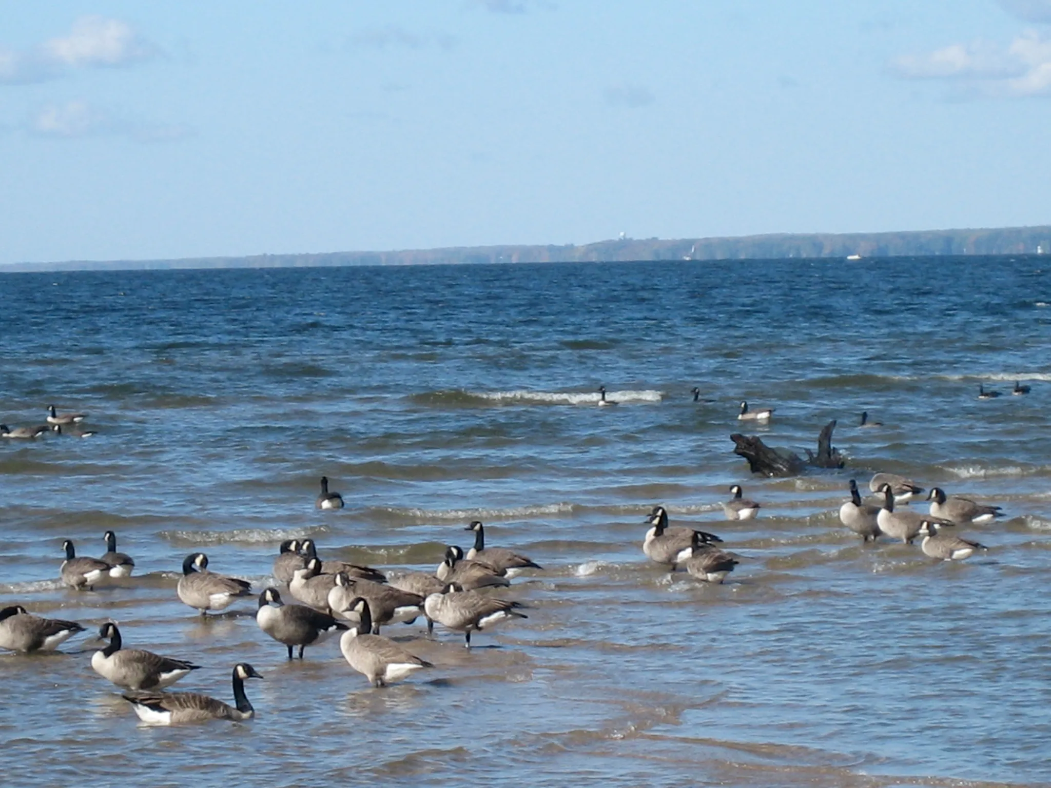 Verona Beach State Park