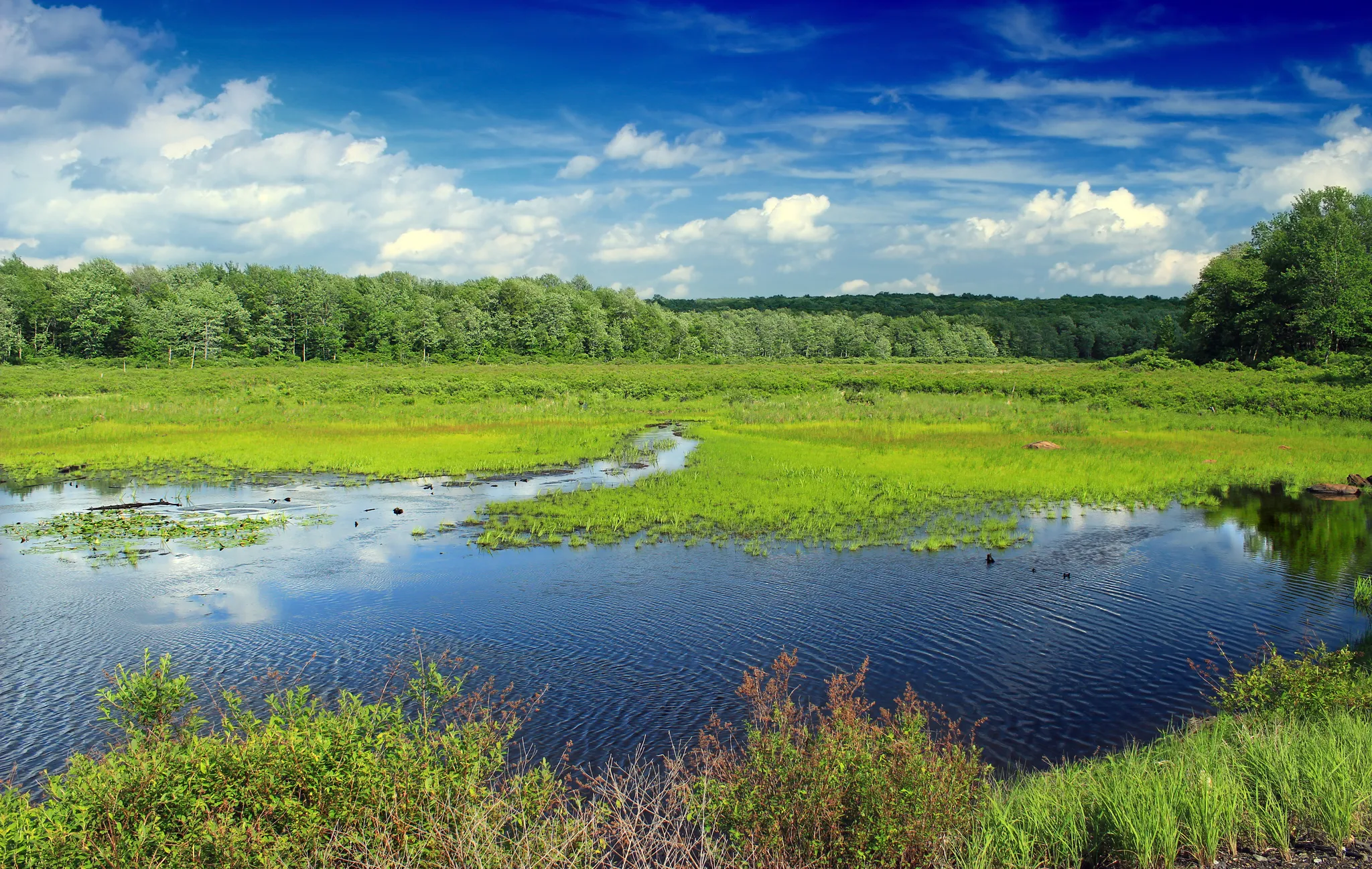 Tobyhanna State Park