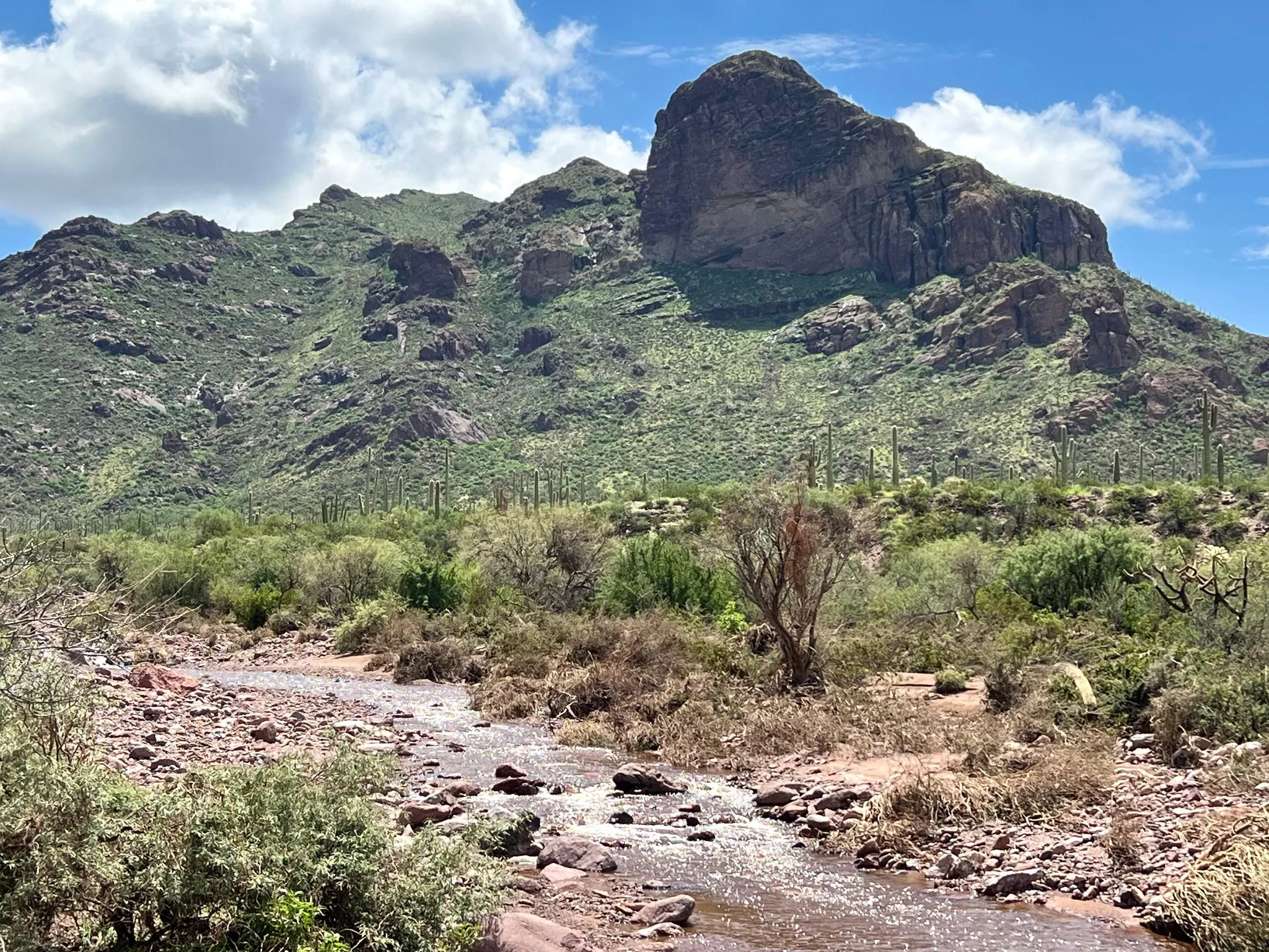 Alamo Canyon Primitive Campground 