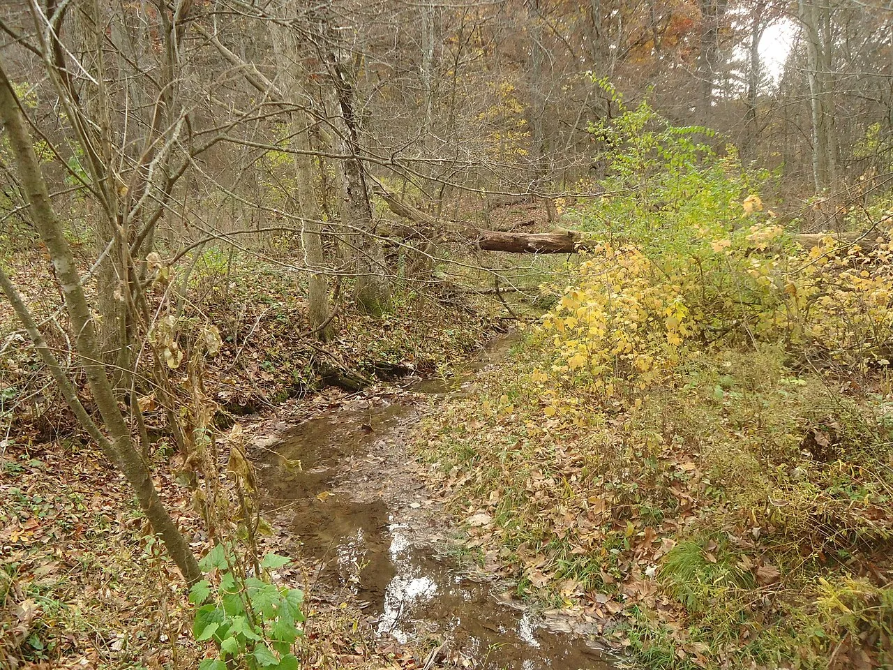 Governor Dodge State Park
