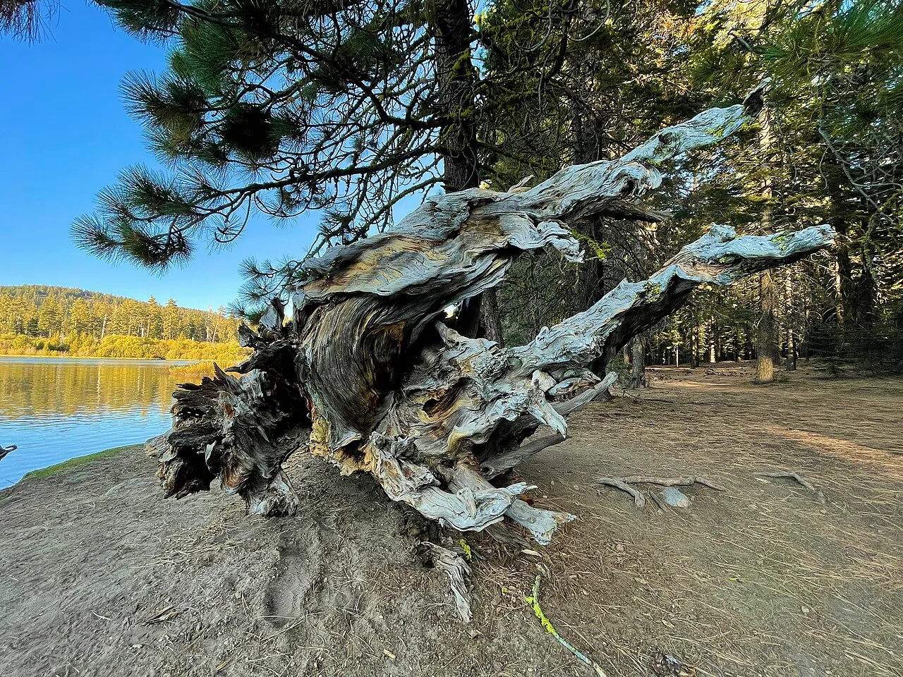 Southwest Campground - Winter/Spring