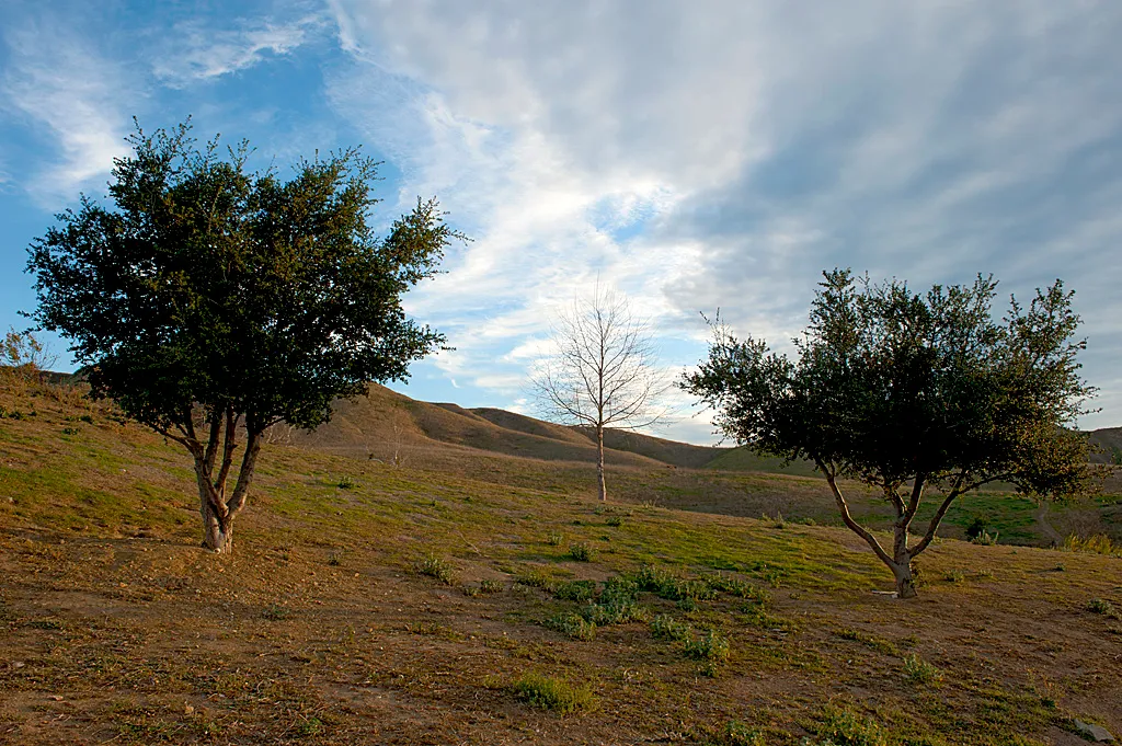 Rolling M. Ranch Campground