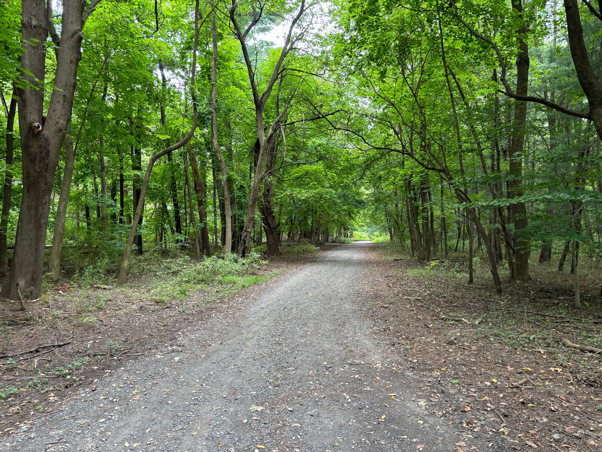 Neshaminy State Park
