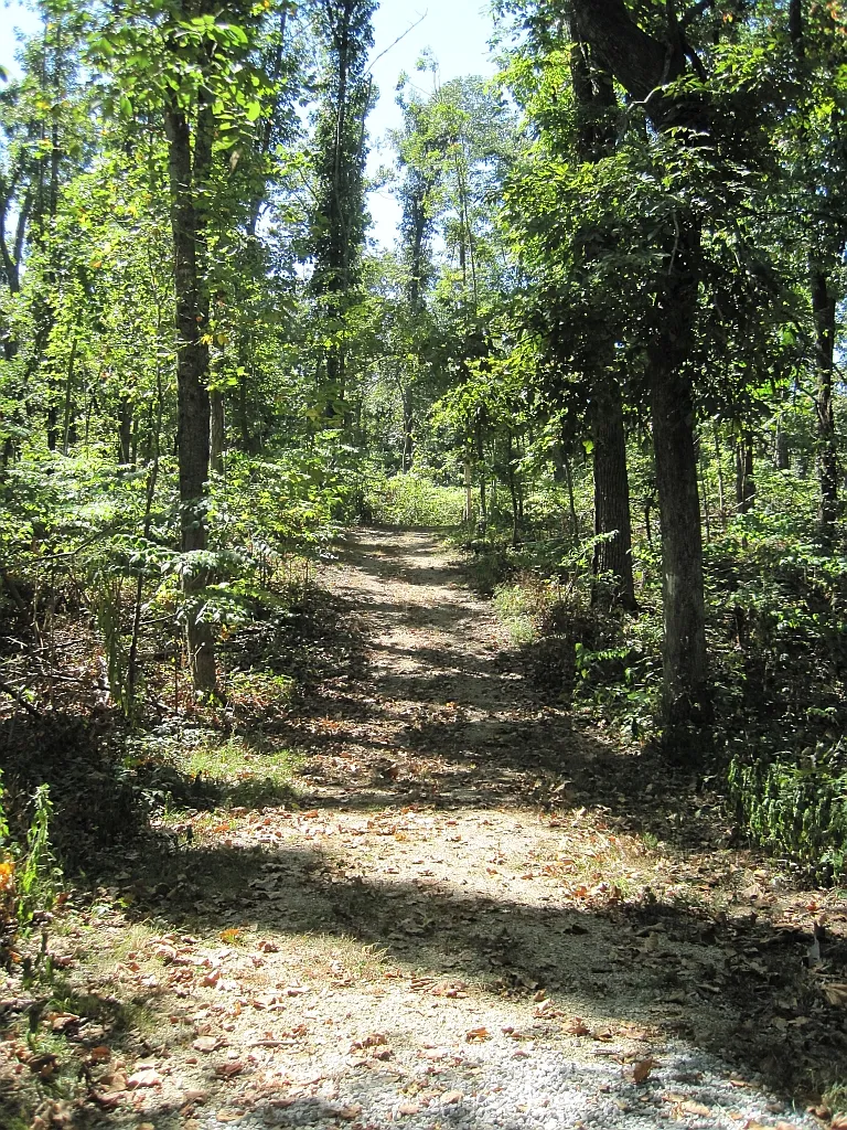 Lake Frierson Campground