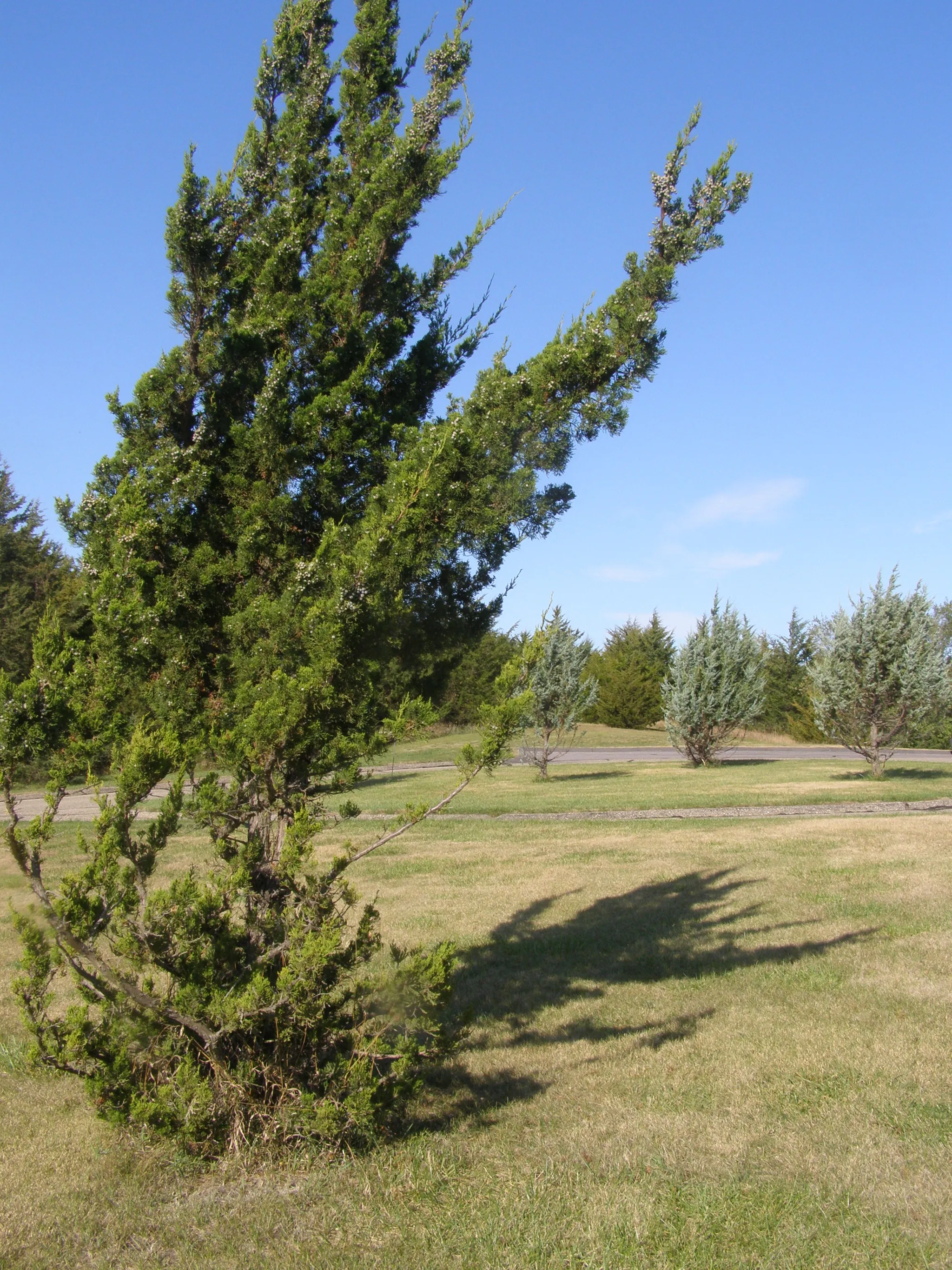 Niobrara State Park