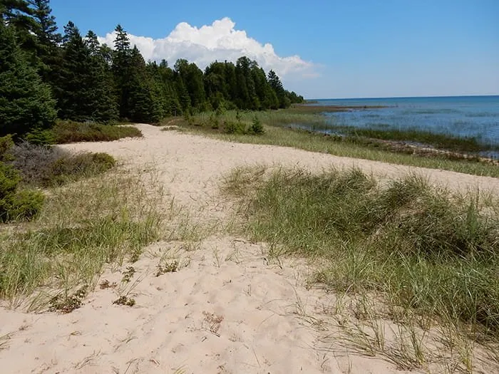 Portage Bay State Forest Campground