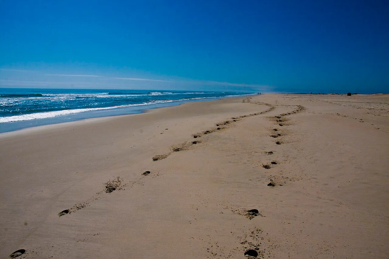 Assateague State Park