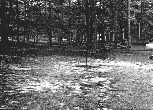 Platte River State Forest Campground