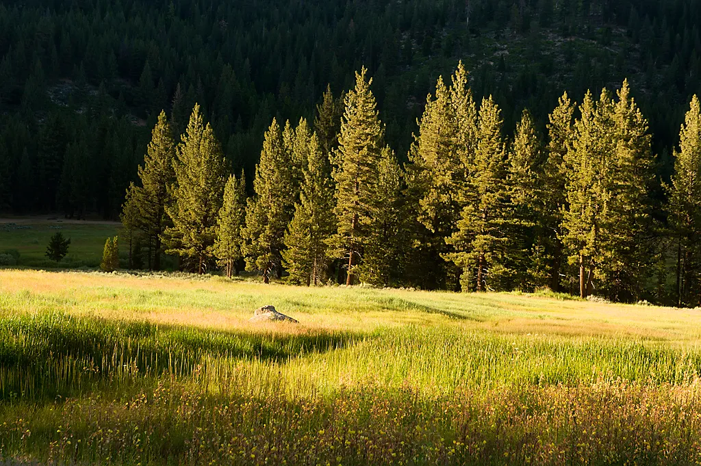 Grover Hot Springs State Park Campground