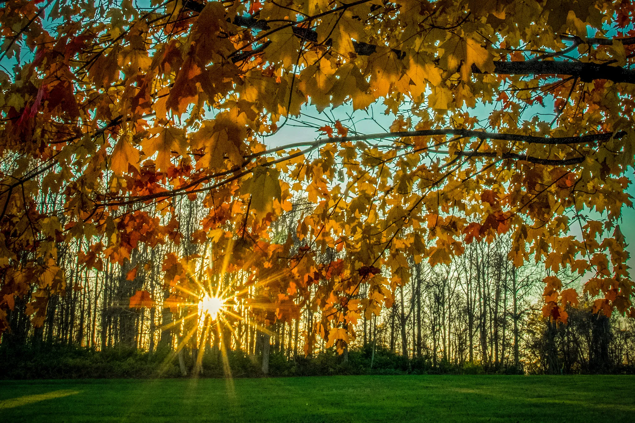 Ridley Creek State Park