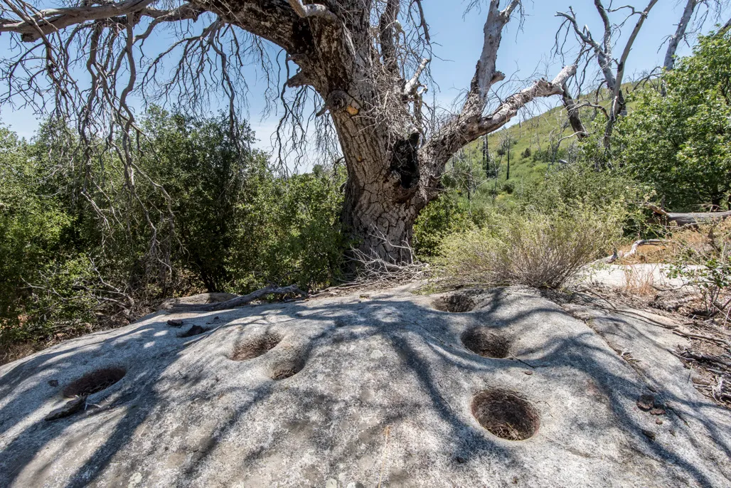 Arroyo Seco Trail Campground