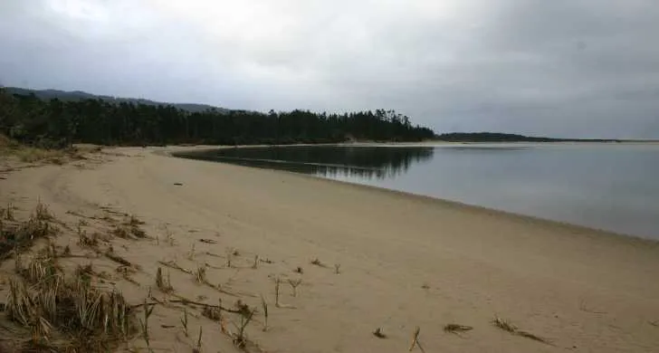 Maud Williamson State Recreation Site