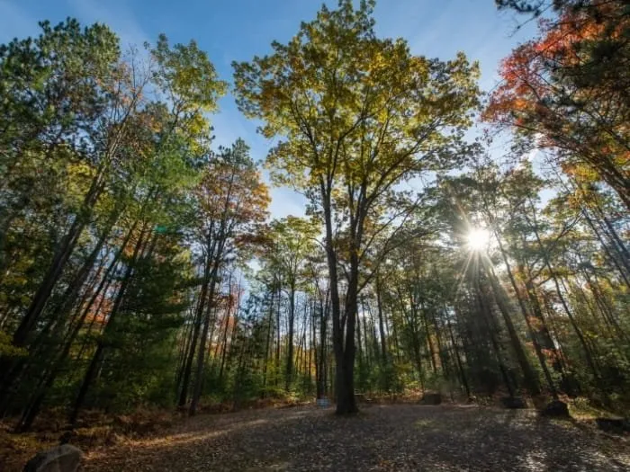 Pickerel Lake State Forest Campground (Otsego)