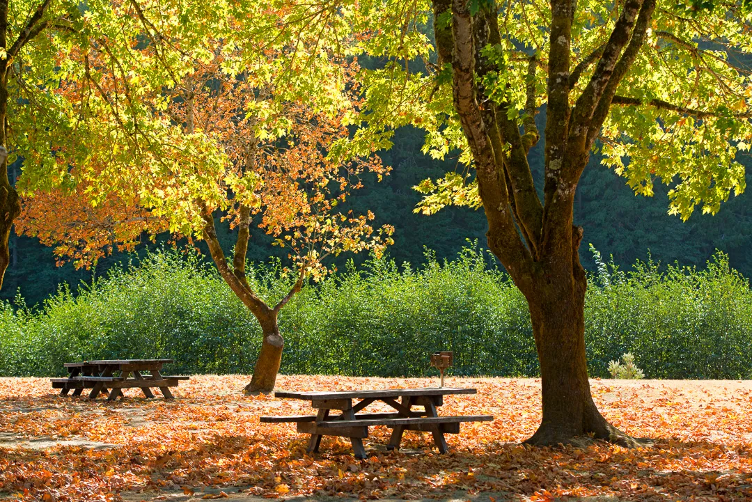 Benbow State Recreation Campground