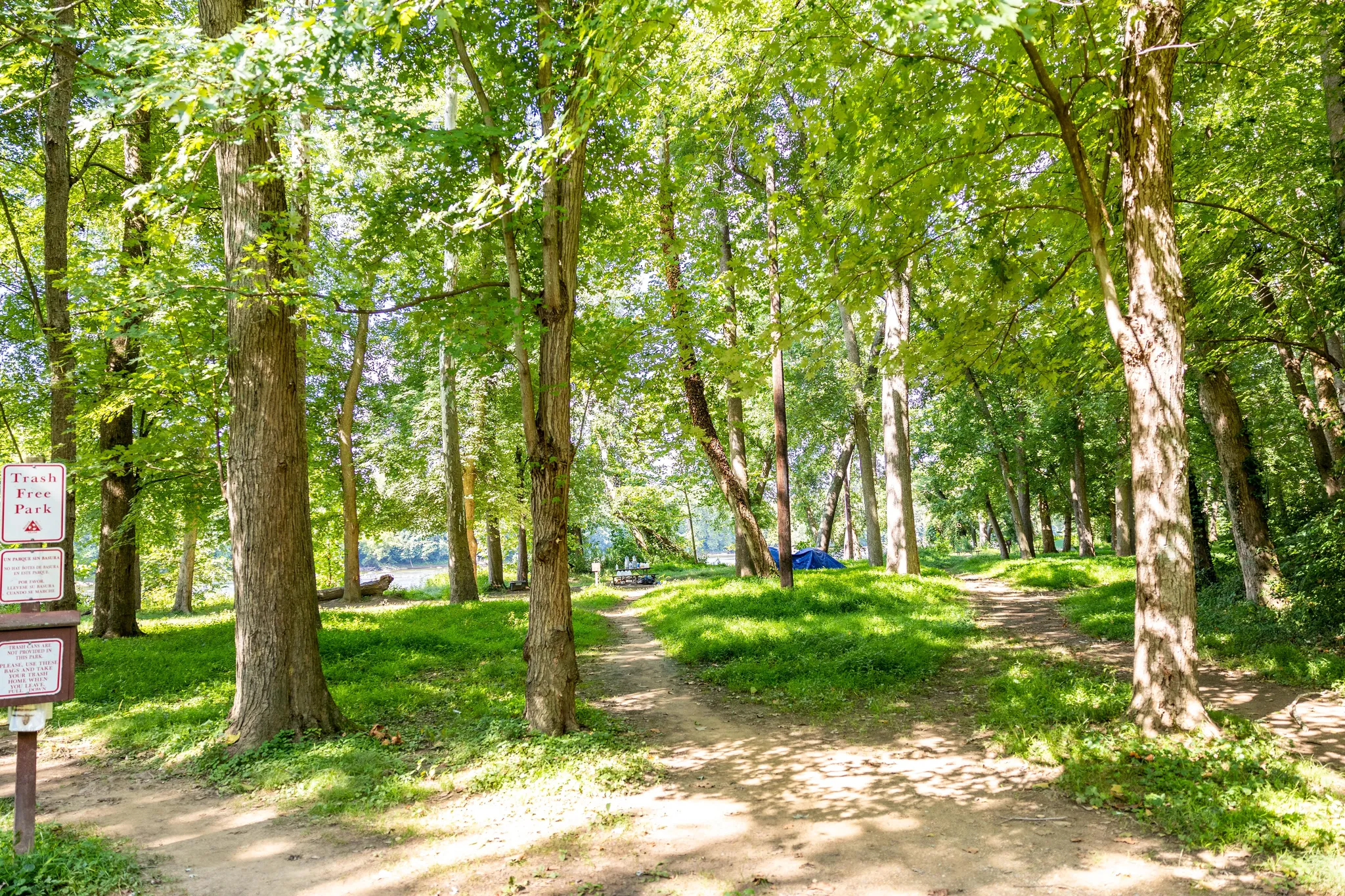 Swains Lock Hiker-Biker Campsite