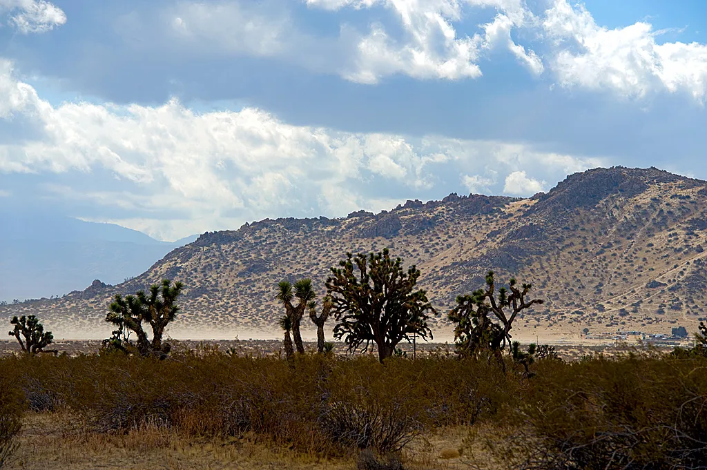 Saddleback Butte State Park Campground