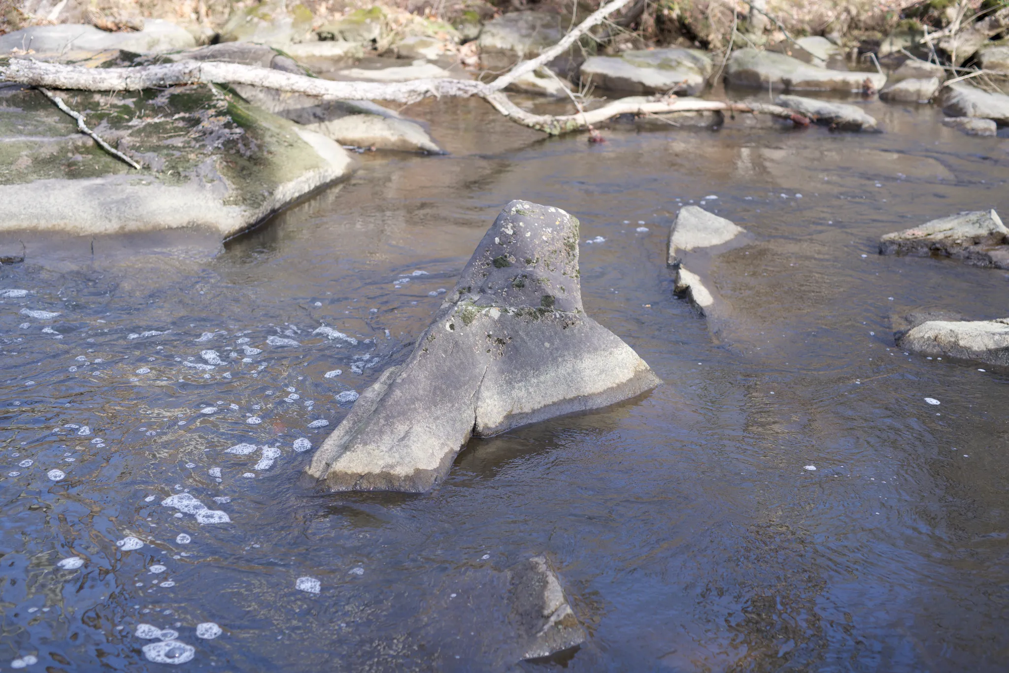 Nockamixon State Park