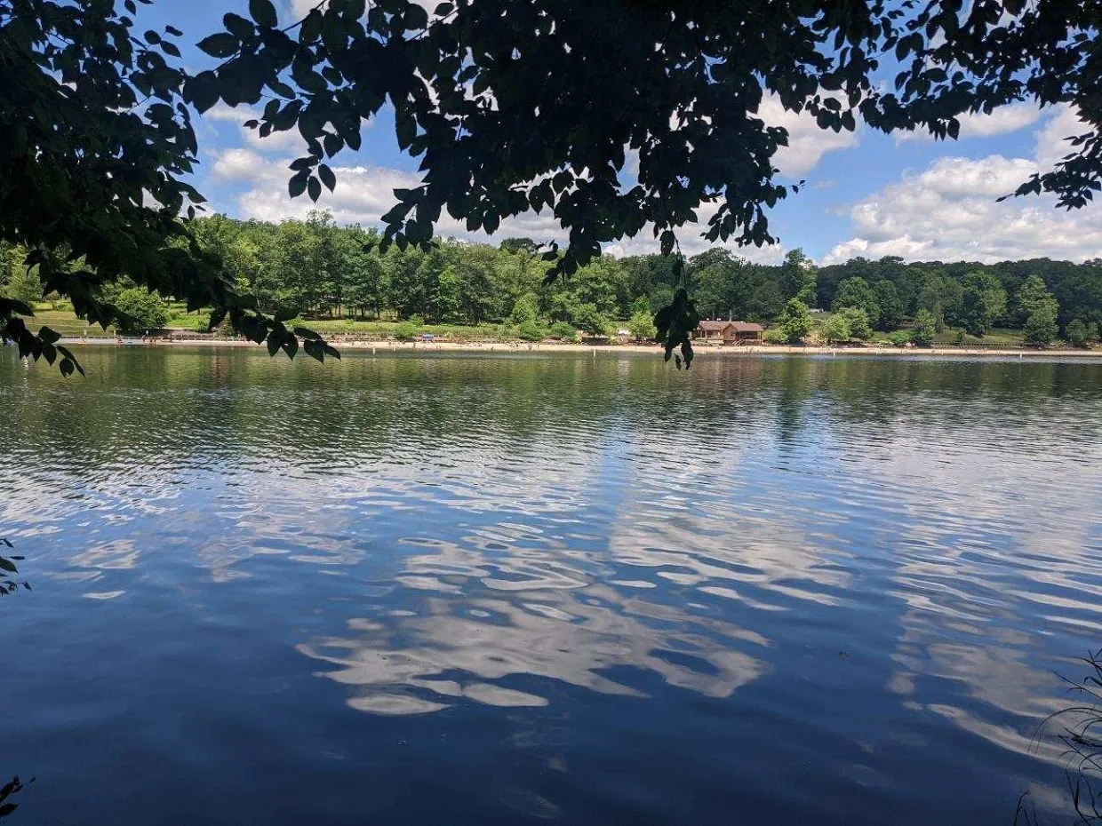 Laurel Hill State Park