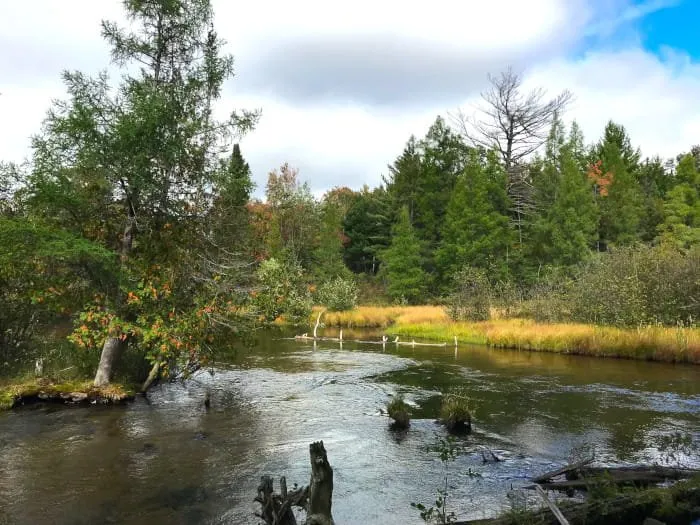 Goose Creek Trail Camp