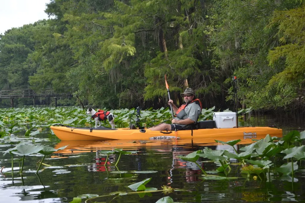 Manatee Springs State Park Loop Mag1