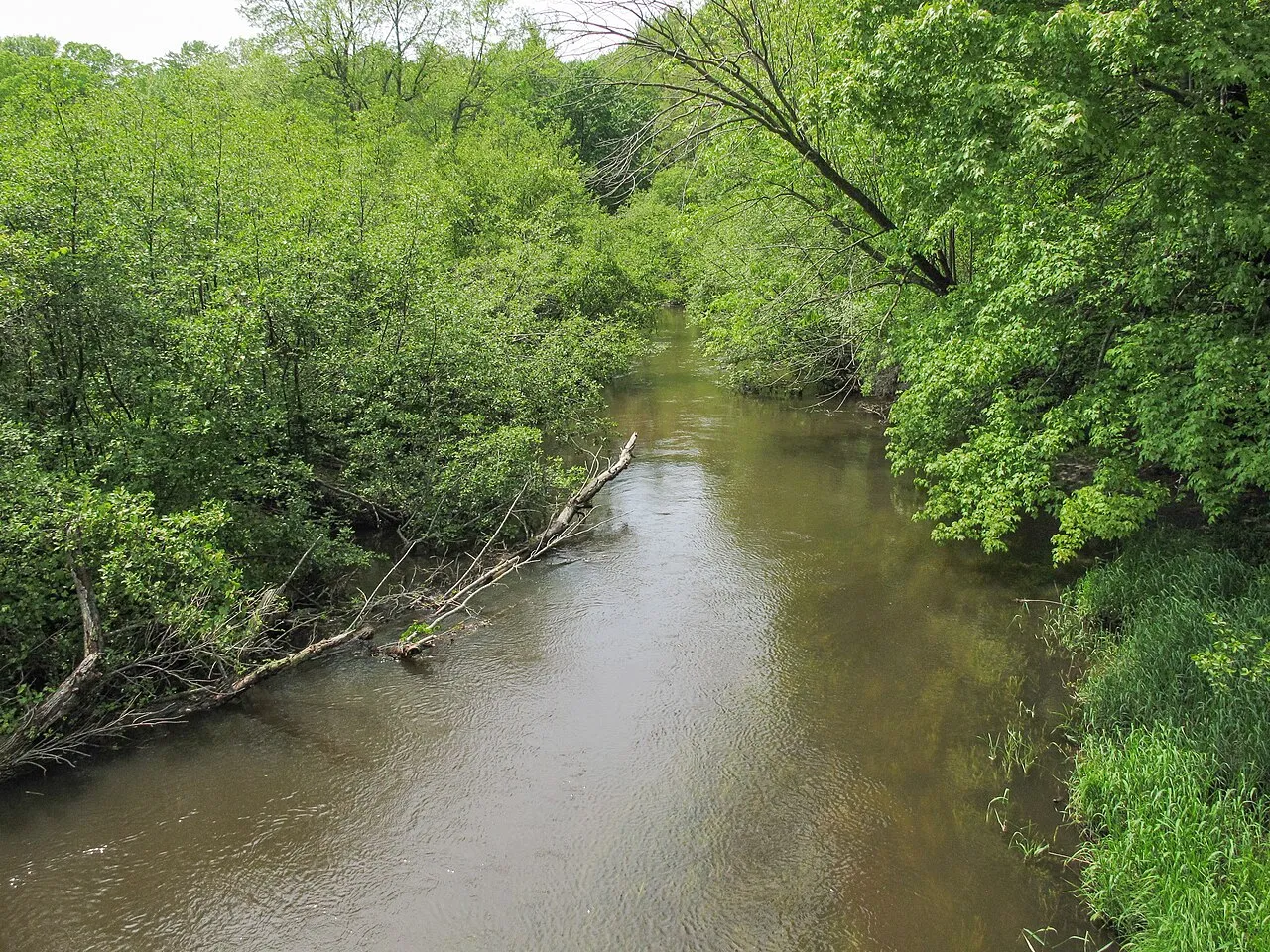 Pigeon River State Forest Campground