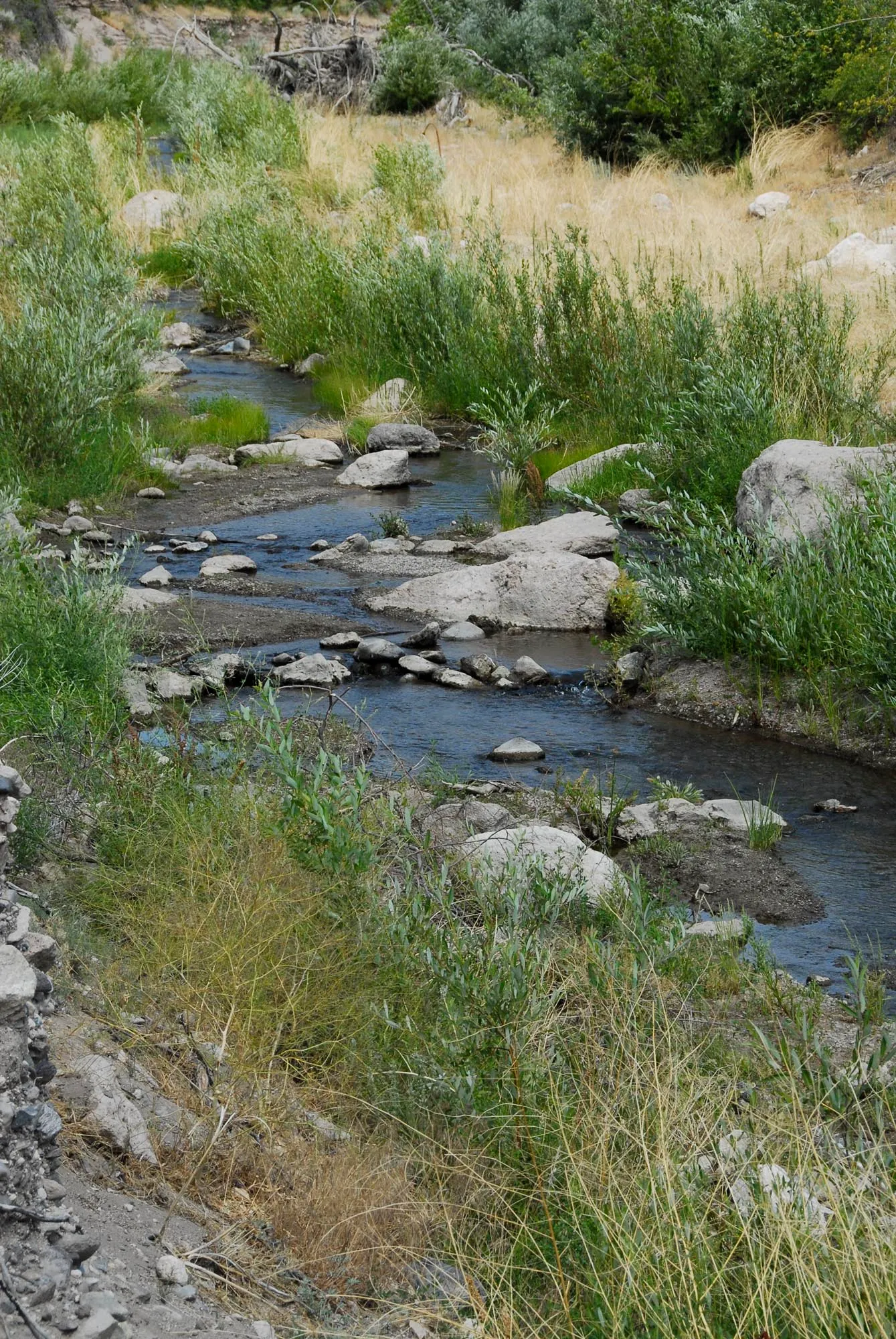 Beaver Dam Campground