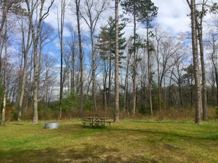 House Lake State Forest Campground