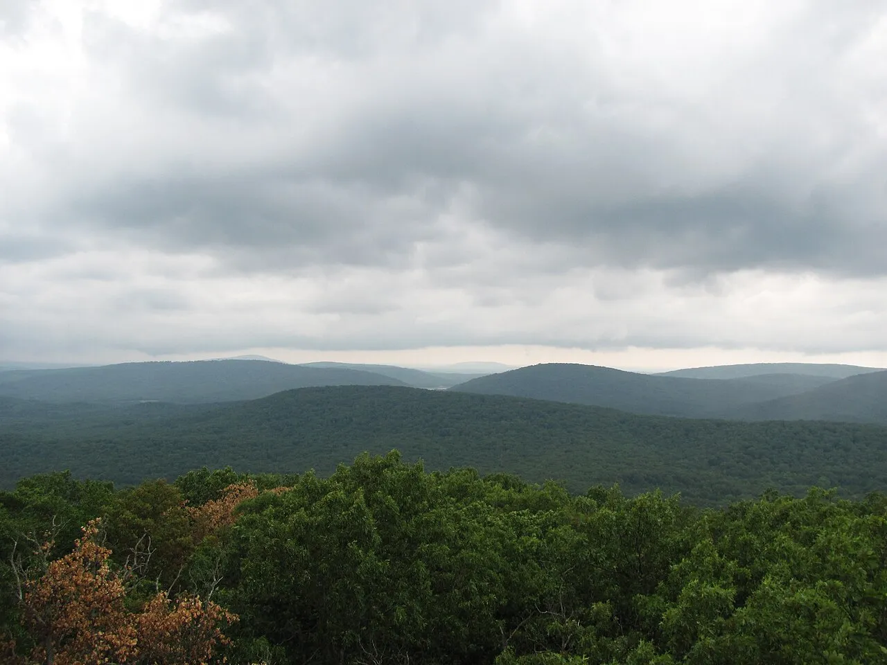 Campground 1 (Sites 44-95 And 195-208)