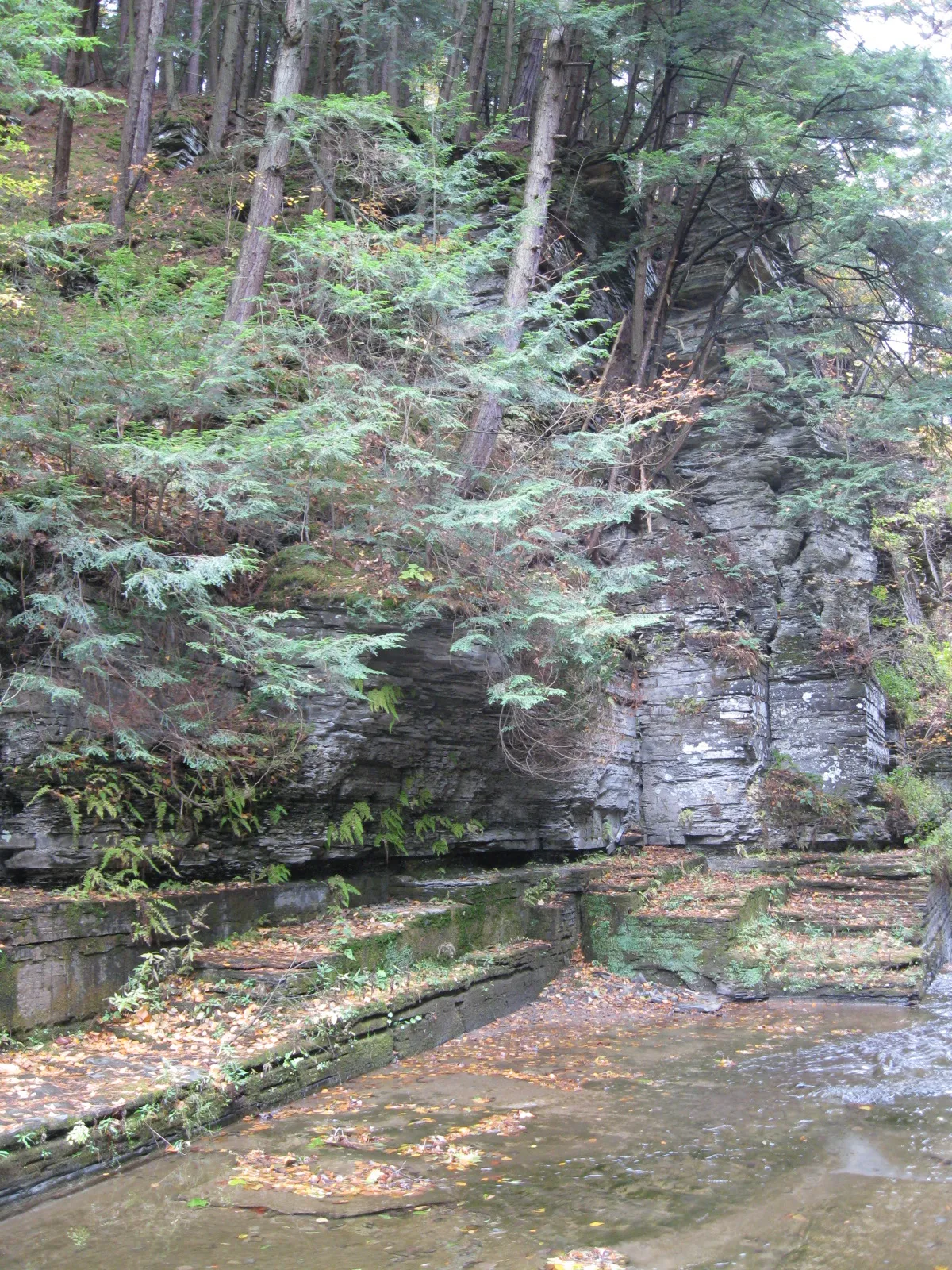 Robert H Treman State Park
