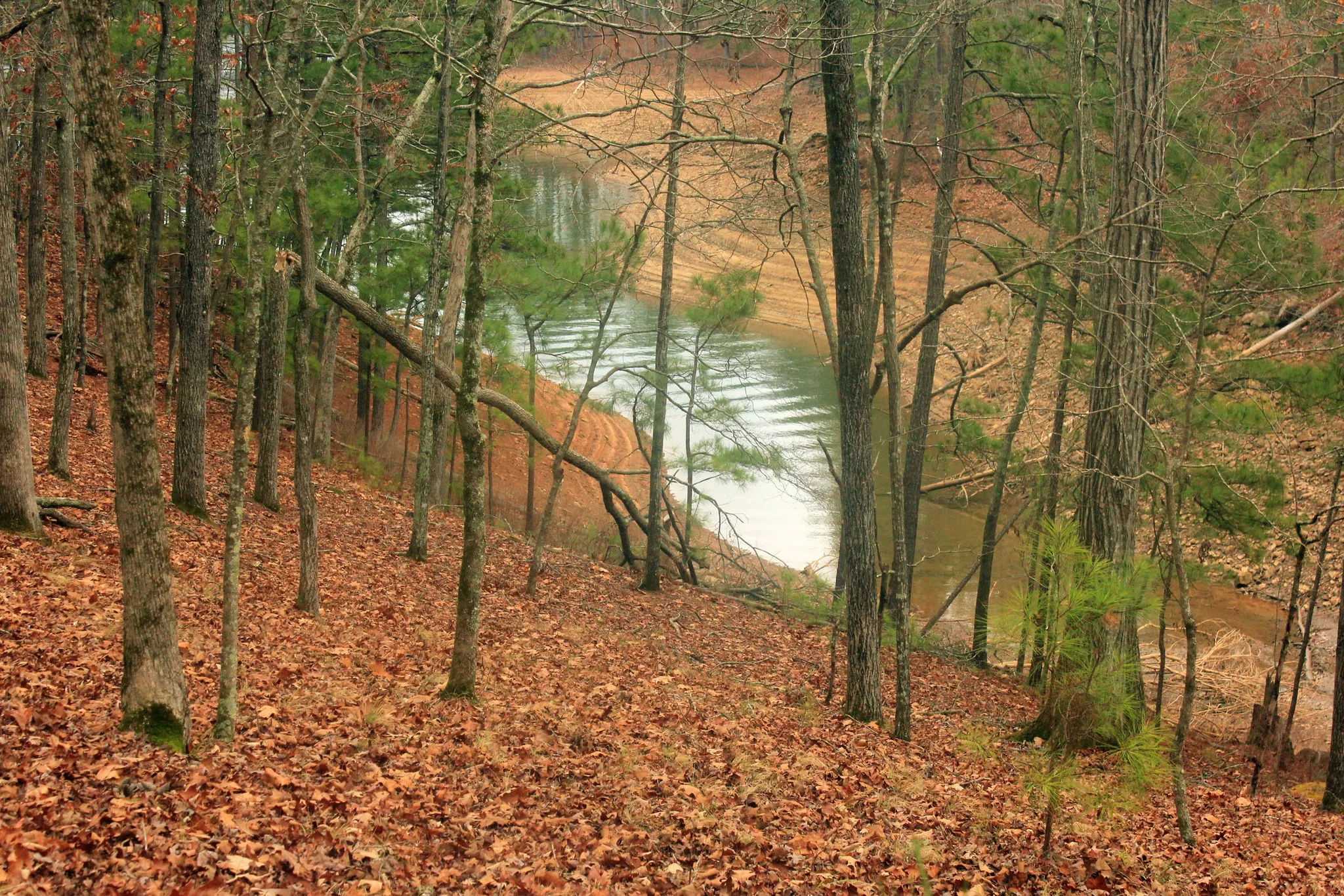 Red Top Mountain State Park