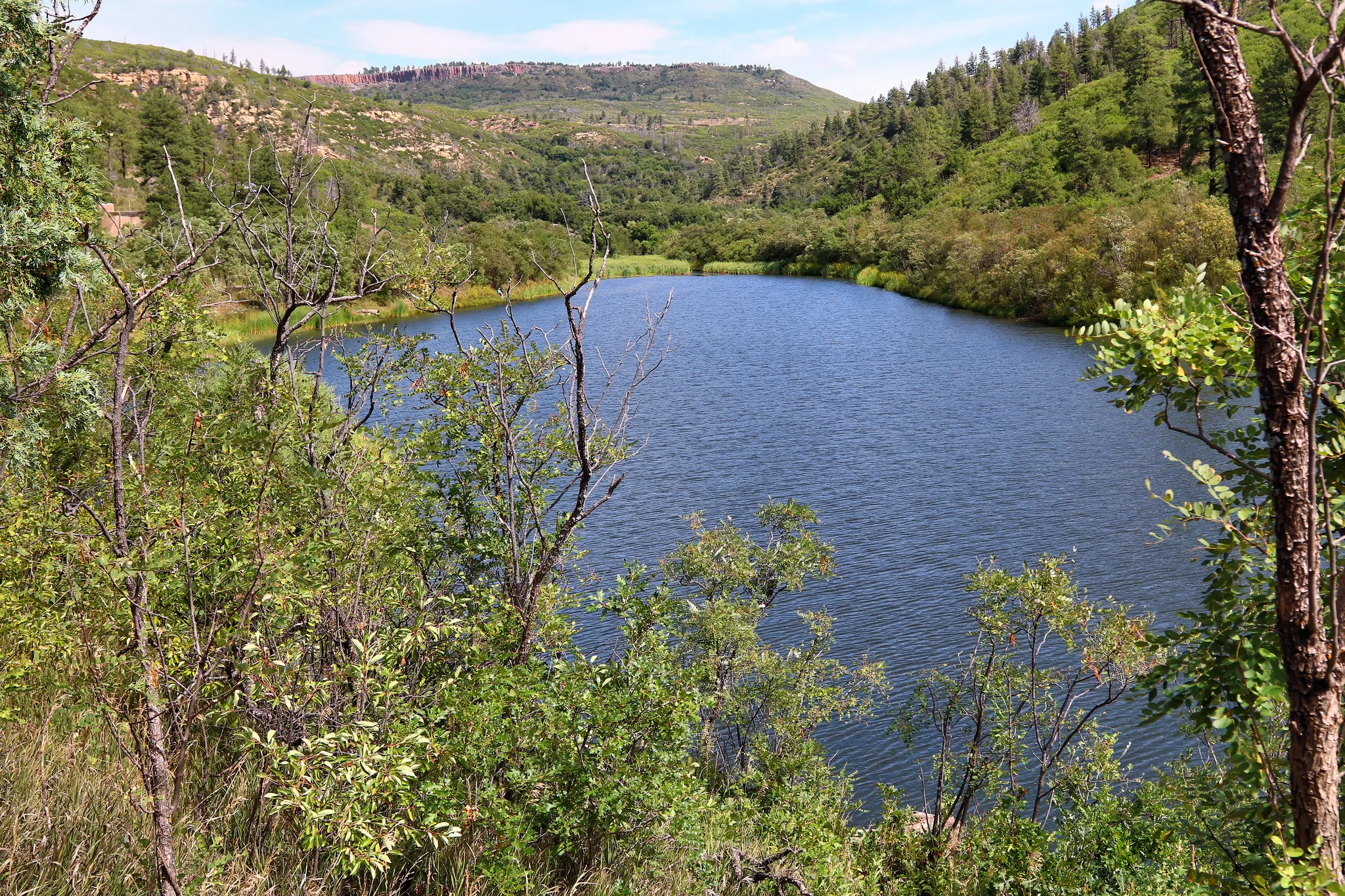 Sugarite Canyon