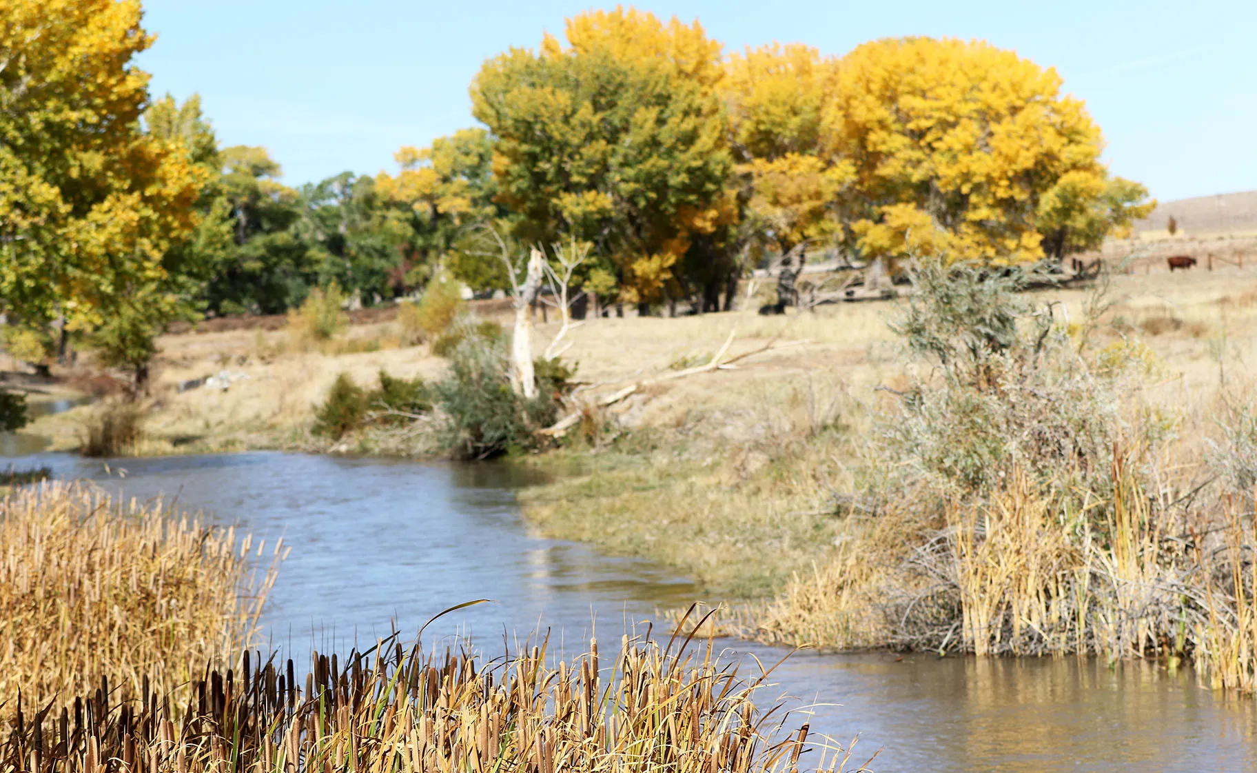 Walker River Campground