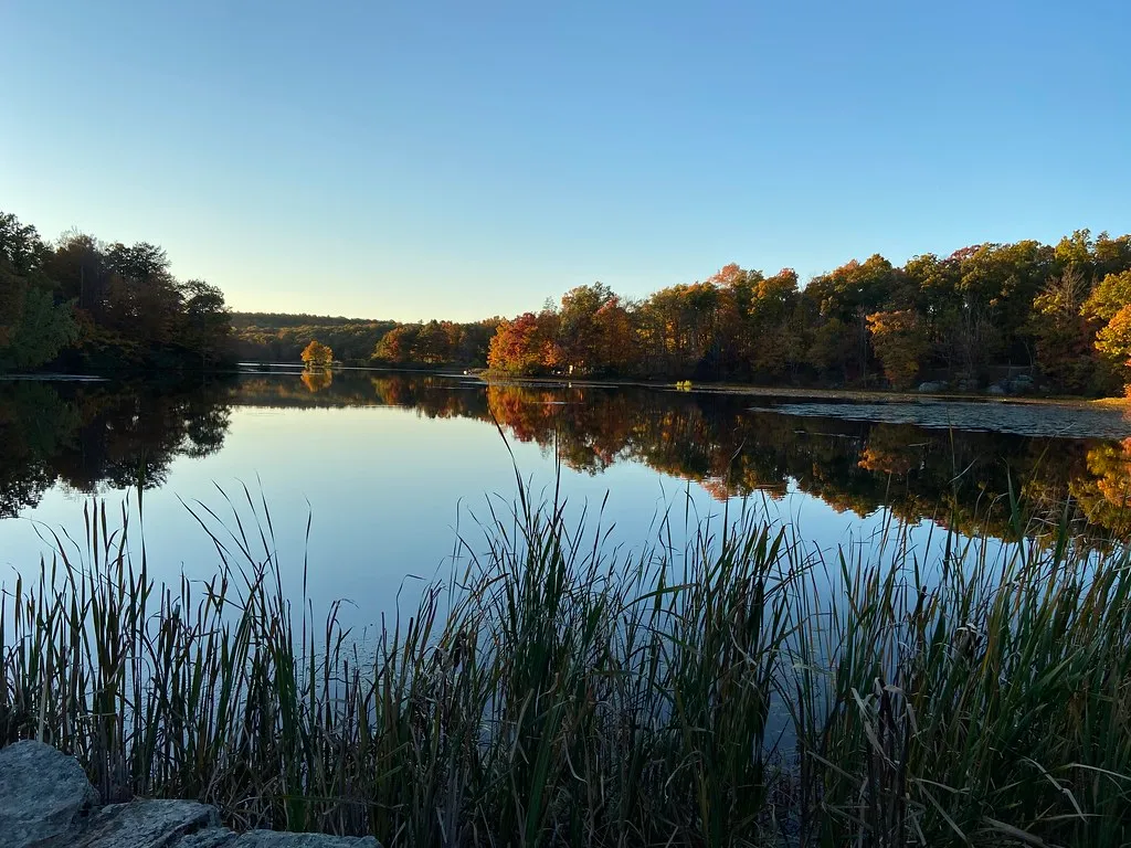 Wawayanda Campground