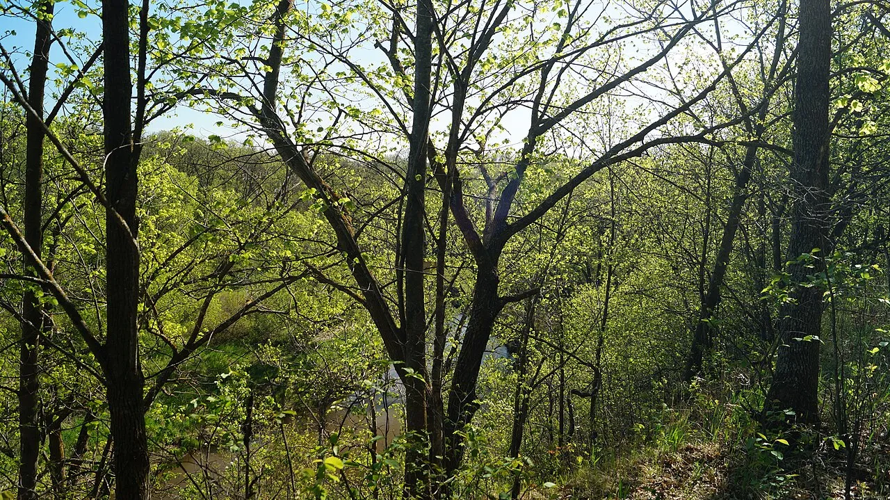 Turtle River Campground