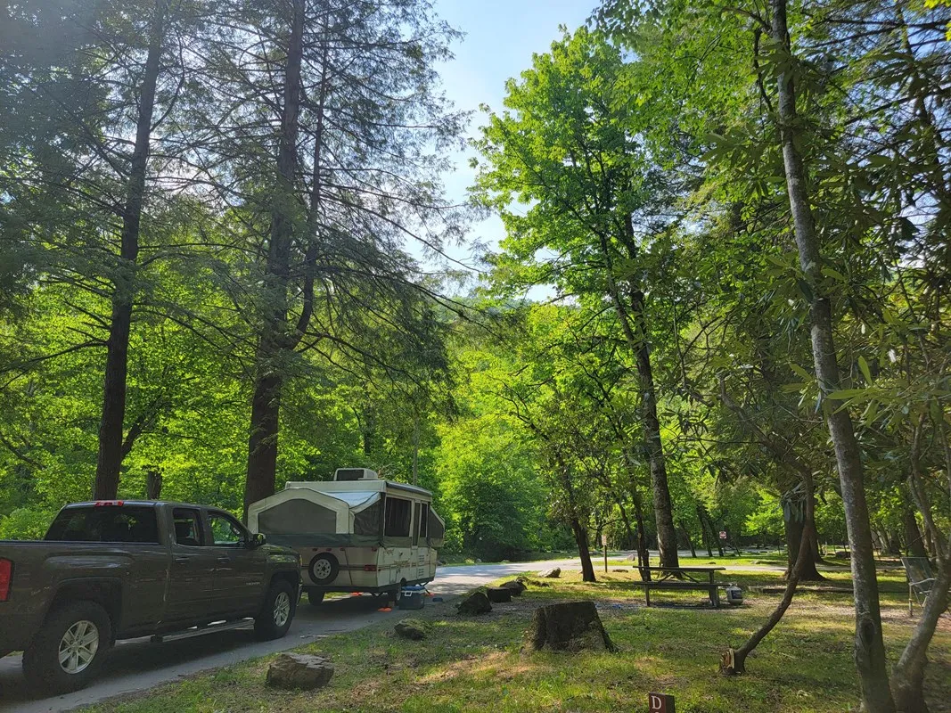 Smokemont Group Camp