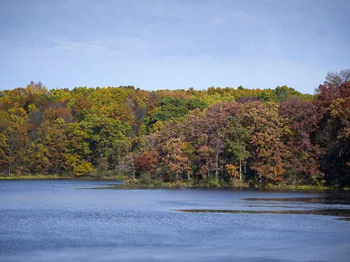 Holly Group Camp