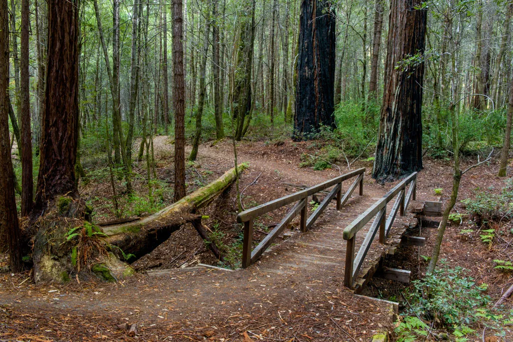 Standish-Hickey State Recreation Campground