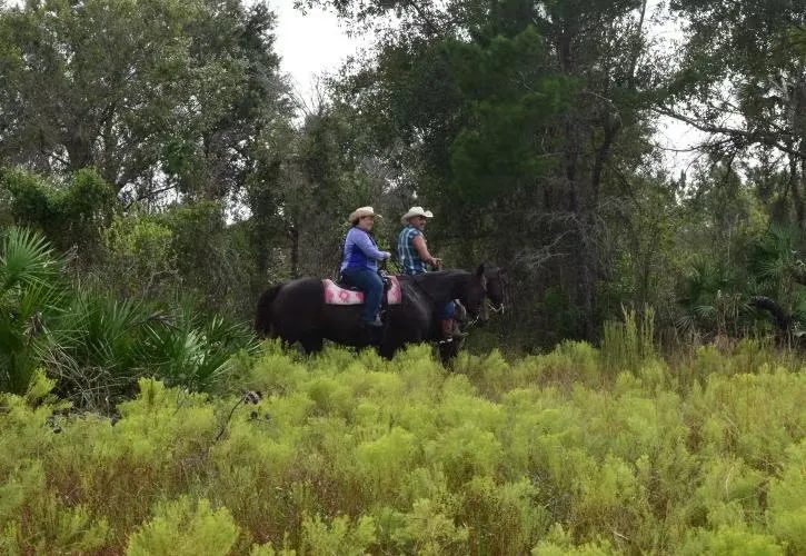 Little Manatee River State Park Loop Lmr1