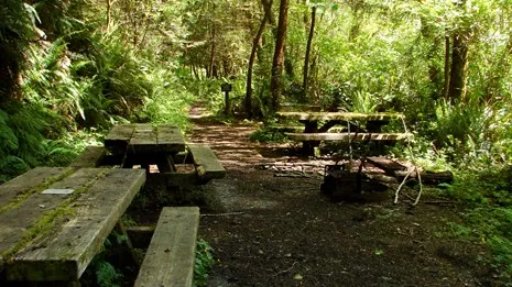White Pine Backcountry Campground Permits