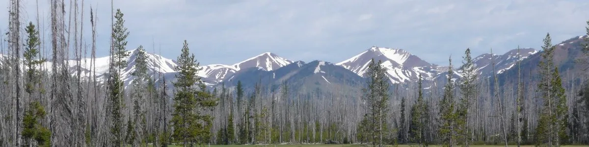 Twin Lakes Campground